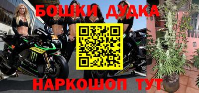 мяу мяу мука Будённовск