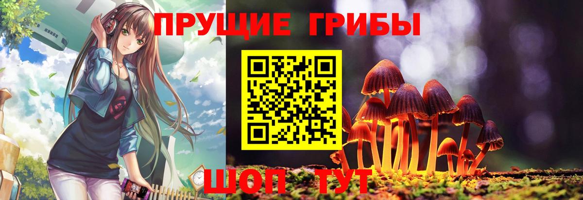 Одинцово  Галлюциногенные грибы Psilocybine cubensis  Вход с VPN 